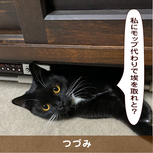 20191203_touko.jpg