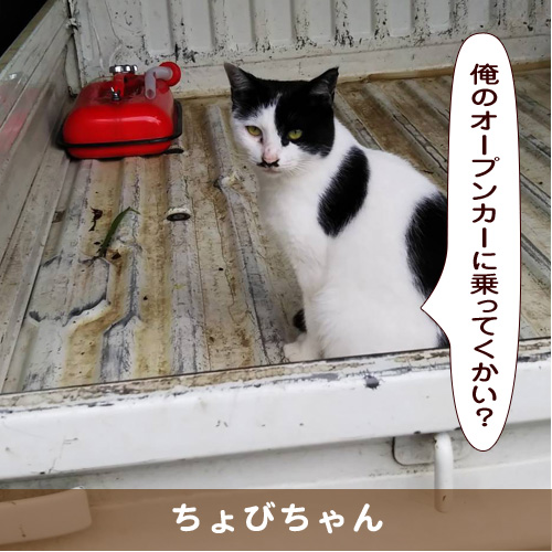 20191204_touko.jpg