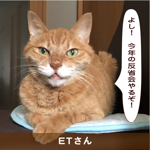 20191205_touko.jpg