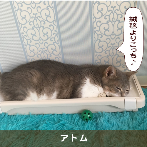 20191206_touko.jpg