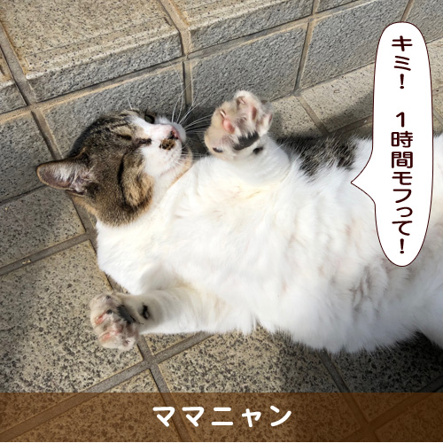 20191207_touko.jpg