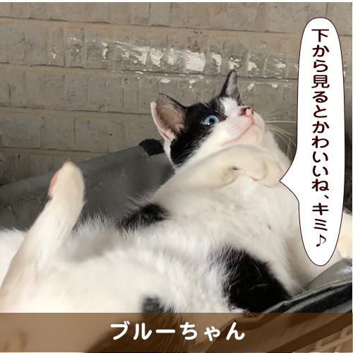 20191208_touko.jpg