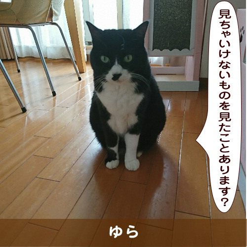20191209_touko.jpg