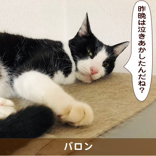 20191210_touko.jpg