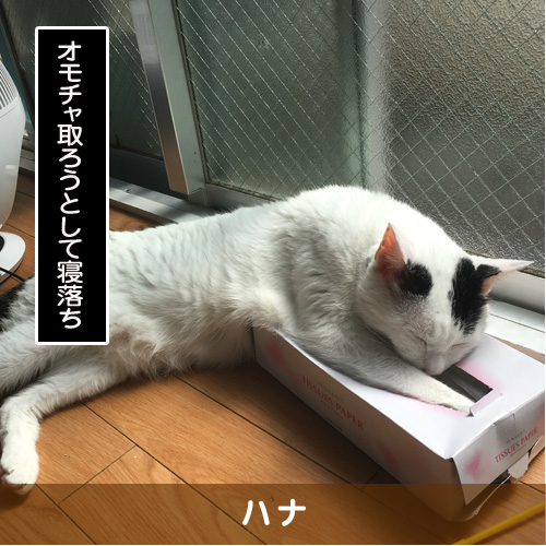 20191211_touko.jpg