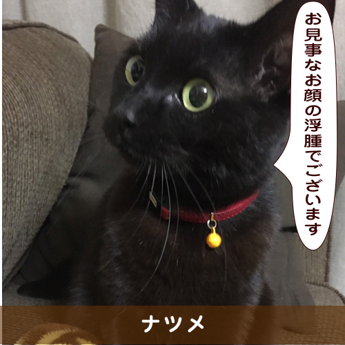 20191212_touko.jpg