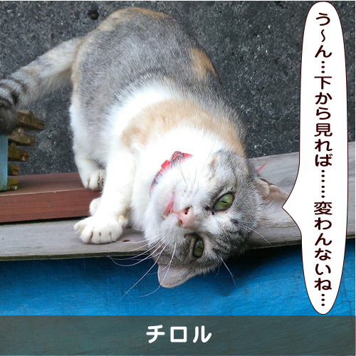 20191213_touko.jpg