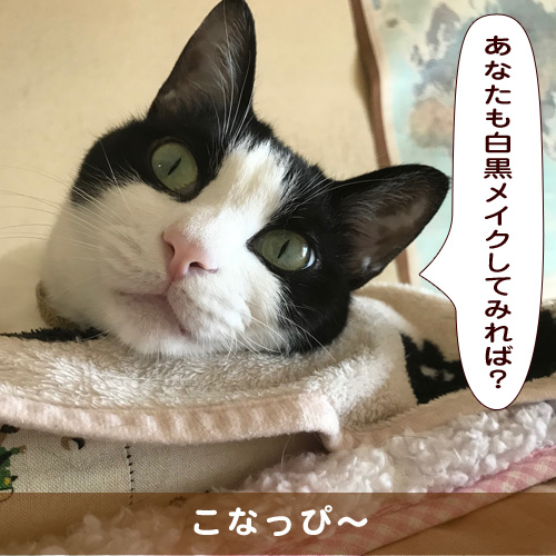 20191215_touko.jpg