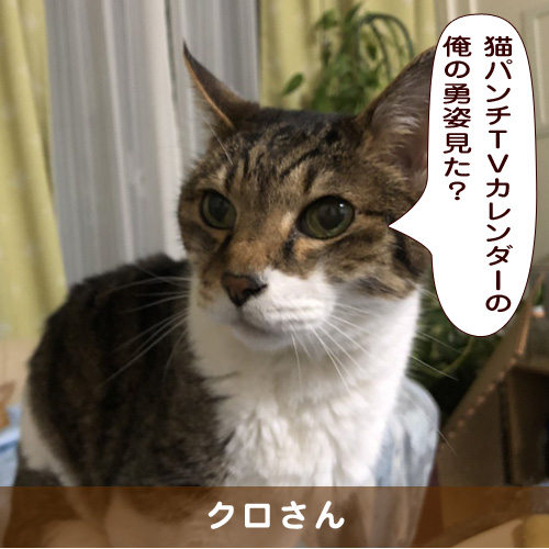 20191216_touko.jpg