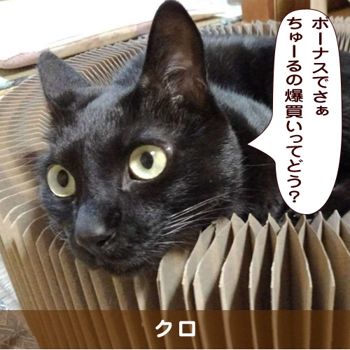 20191217_touko.jpg