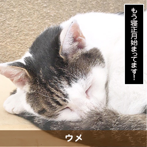 20191219_touko.jpg