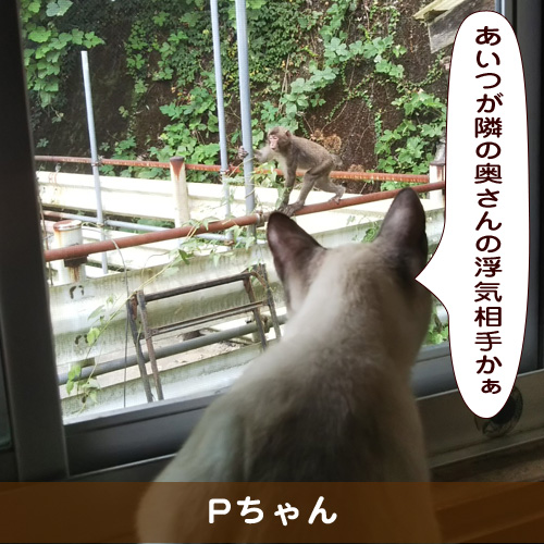 20191221_touko.jpg