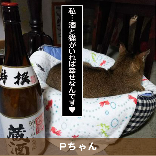 20191222_touko.jpg