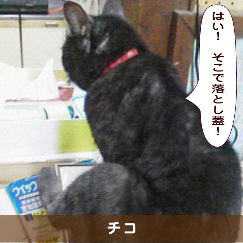 20191223_touko.jpg