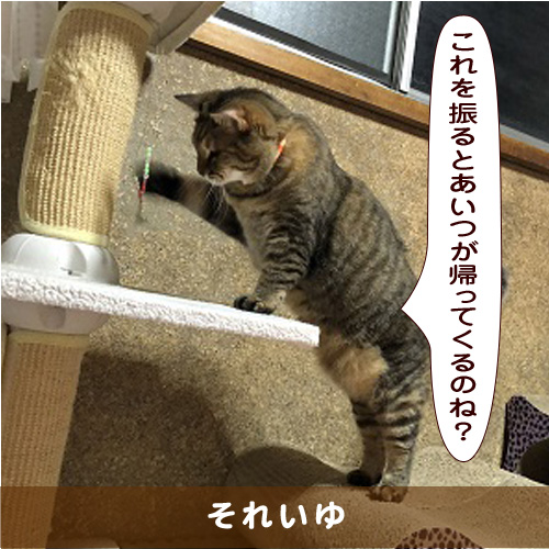 20191224_touko.jpg