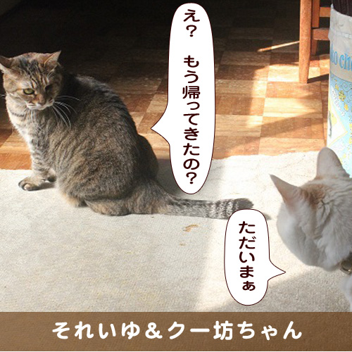20191225_touko.jpg