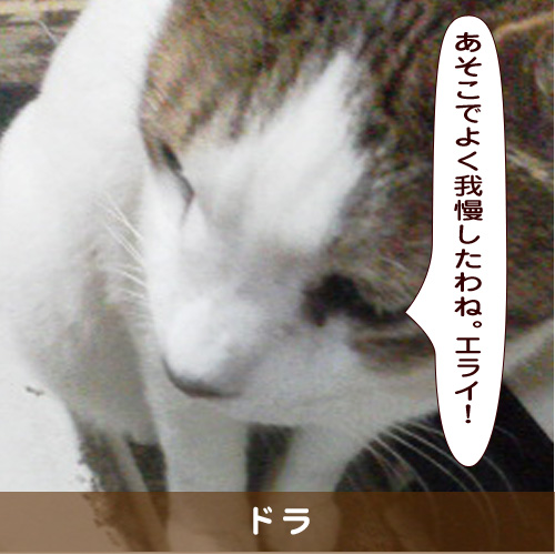 20191226_touko.jpg