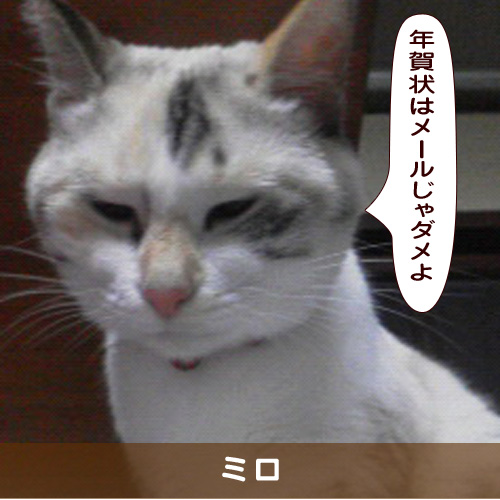 20191227_touko.jpg