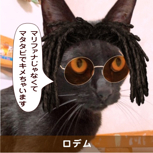 20191229_touko.jpg