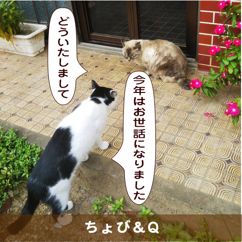 20191230_touko.jpg