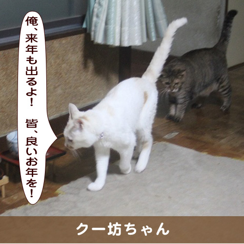 20191231_touko.jpg