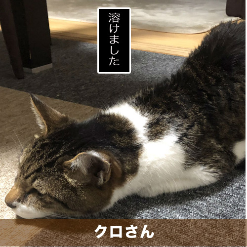 20200105_touko.jpg