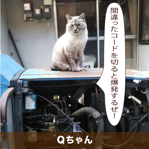 20200107_touko.jpg