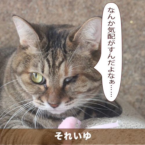 20200108_touko.jpg