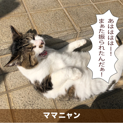 20200109_touko.jpg