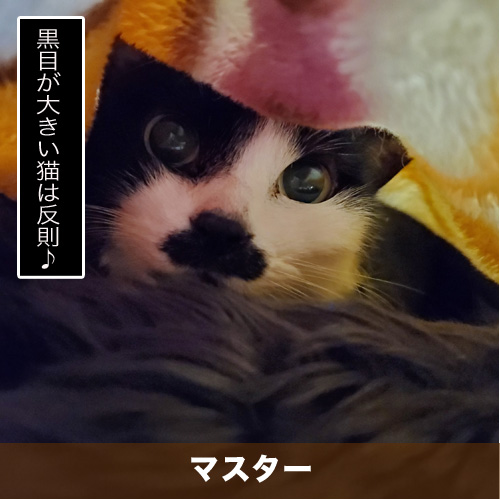20200112_touko.jpg