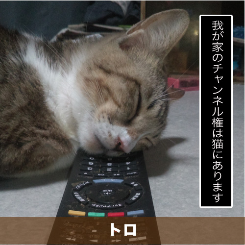 20200113_touko.jpg