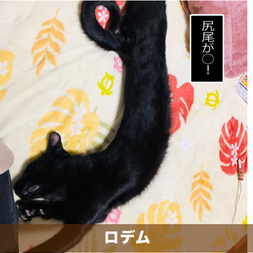 20200121_touko.jpg