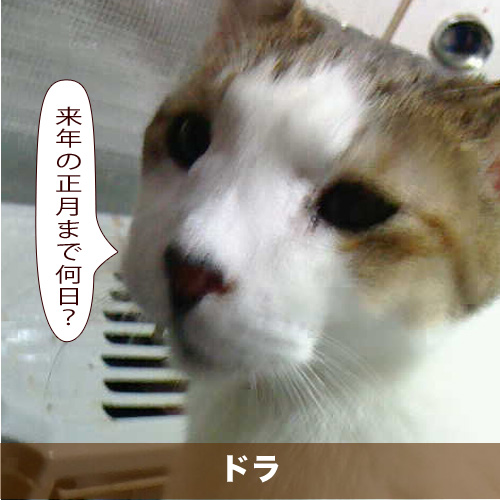 20200126_touko.jpg