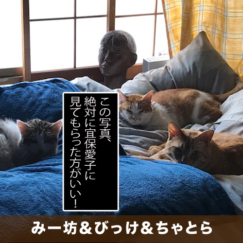 20200127_touko.jpg