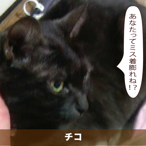 20200130_touko.jpg