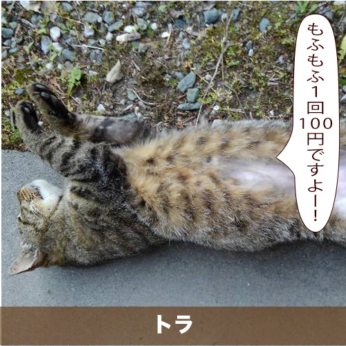 20200208_touko.jpg
