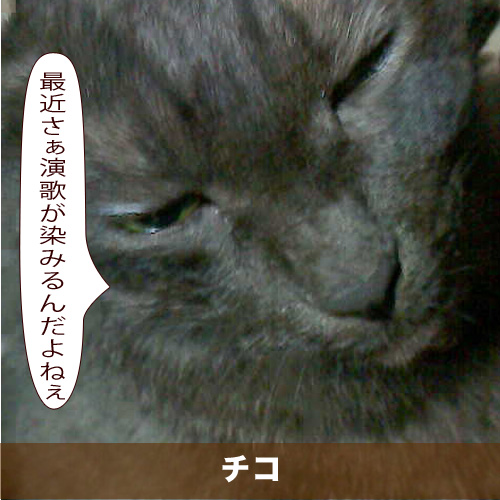 20200210_touko.jpg