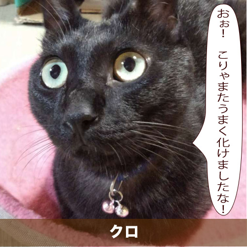 20200218_touko.jpg