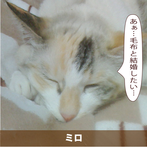 20200224_touko.jpg
