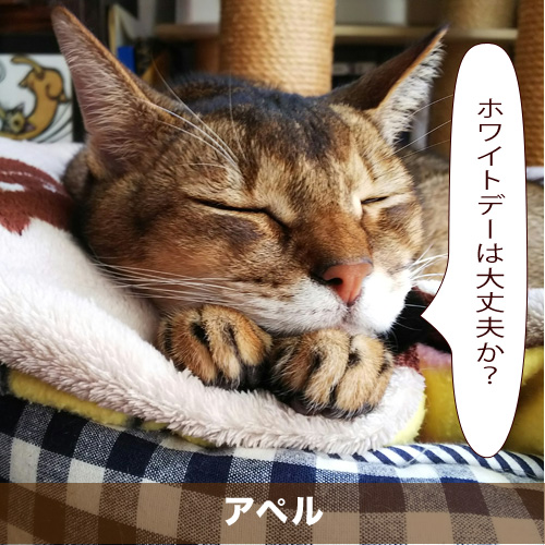 20200309_touko.jpg