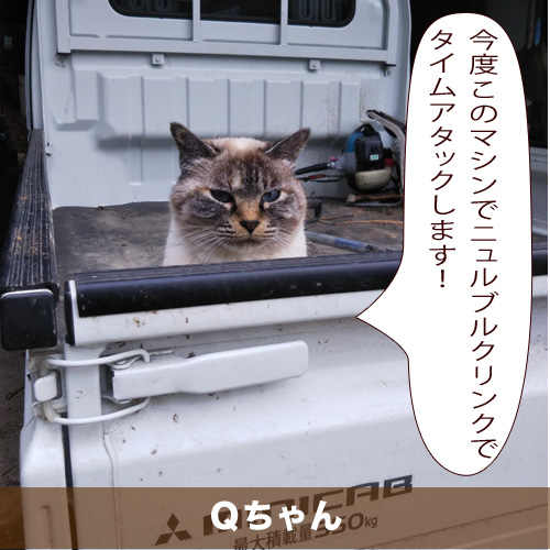 20200310_touko.jpg