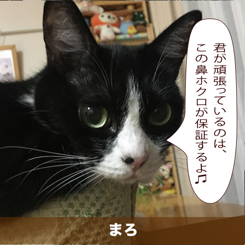 20200312_touko.jpg