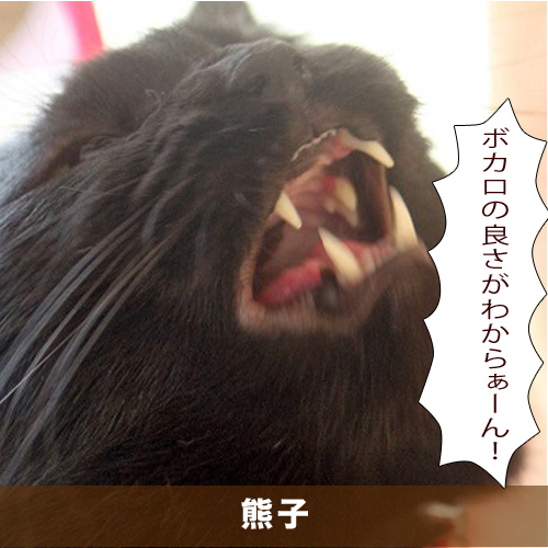 20200315_touko.jpg