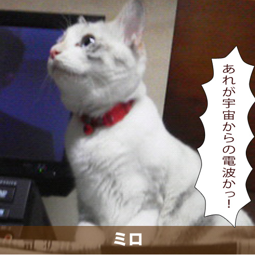 20200316_touko.jpg