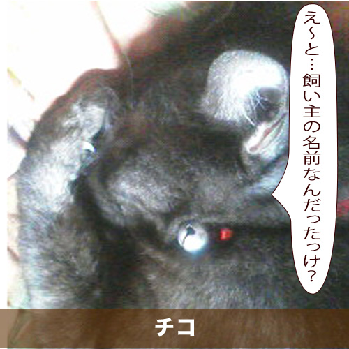 20200321_touko.jpg