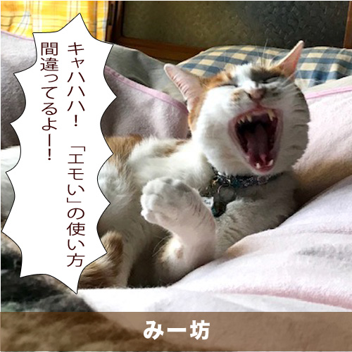 20200323_touko.jpg