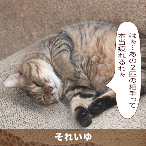 20200324_touko.jpg