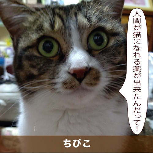 20200401_touko.jpg