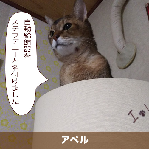 20200403_touko.jpg