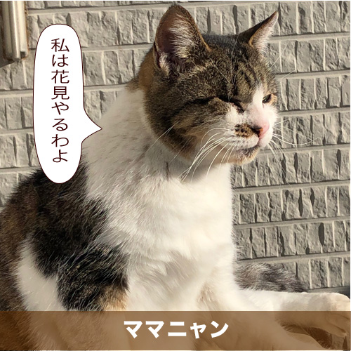 20200411_touko.jpg